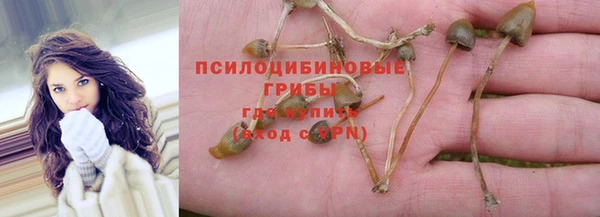 2c-b Нефтекумск