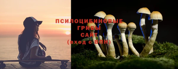 дурь Нефтегорск