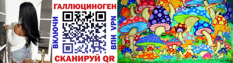 Галлюциногенные грибы Psilocybe  Закаменск 