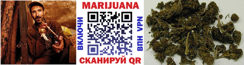 цена наркотик  Закаменск  Конопля гибрид 